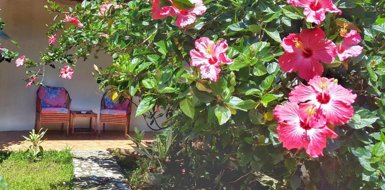Bed and Breakfast Vida Tropical Алахуела Екстер'єр фото
