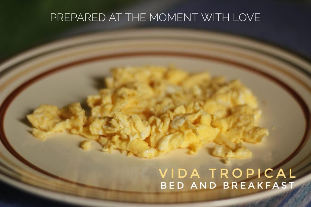 Bed and Breakfast Vida Tropical Алахуела Екстер'єр фото