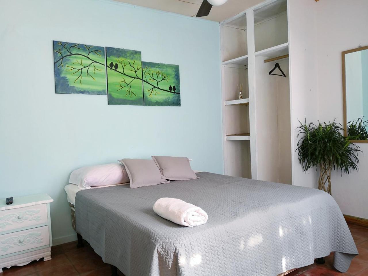 Bed and Breakfast Vida Tropical Алахуела Екстер'єр фото